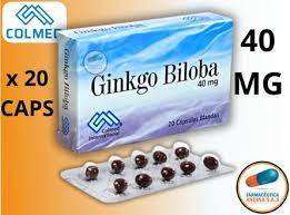 GINKGO BILOBA 40MG X10